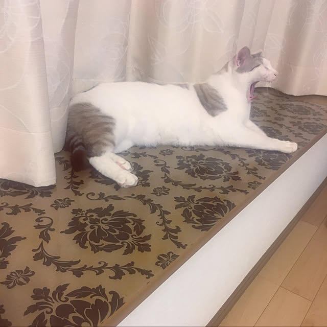 ryu-eiさんの実例写真