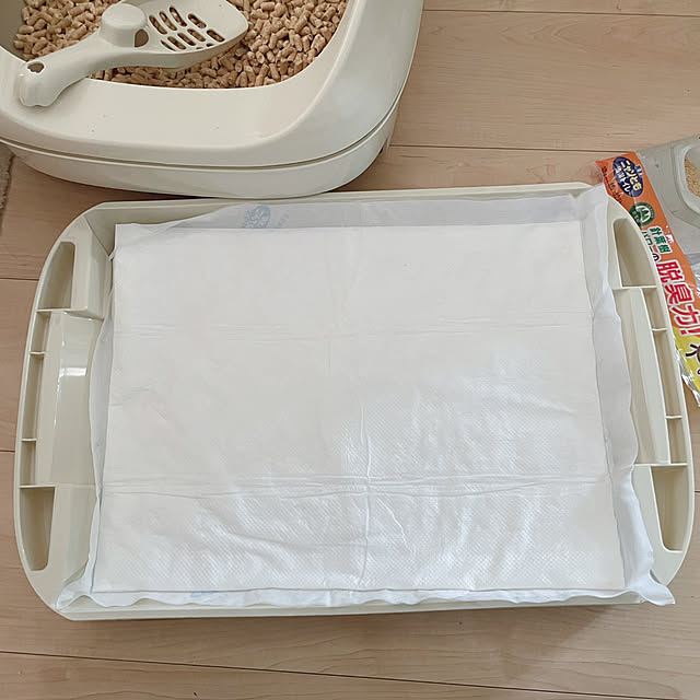 kotoriさんの部屋