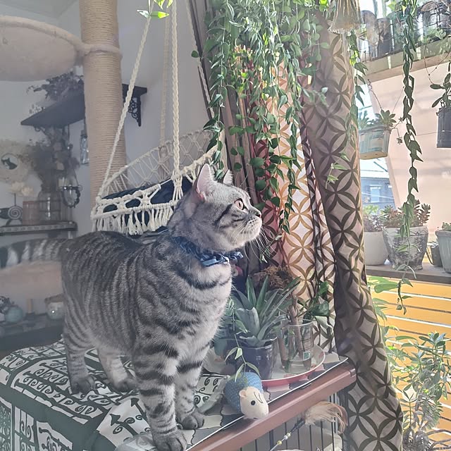 hiro3さんの部屋