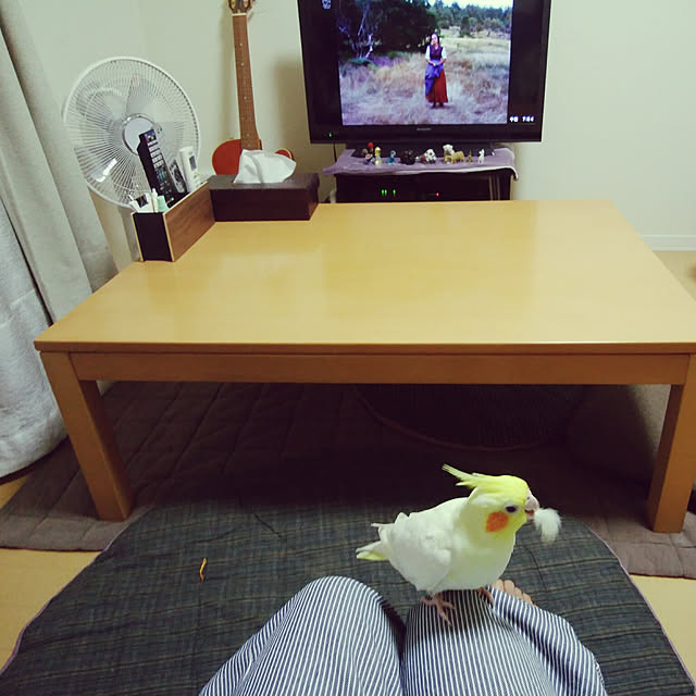 pontaさんの実例写真