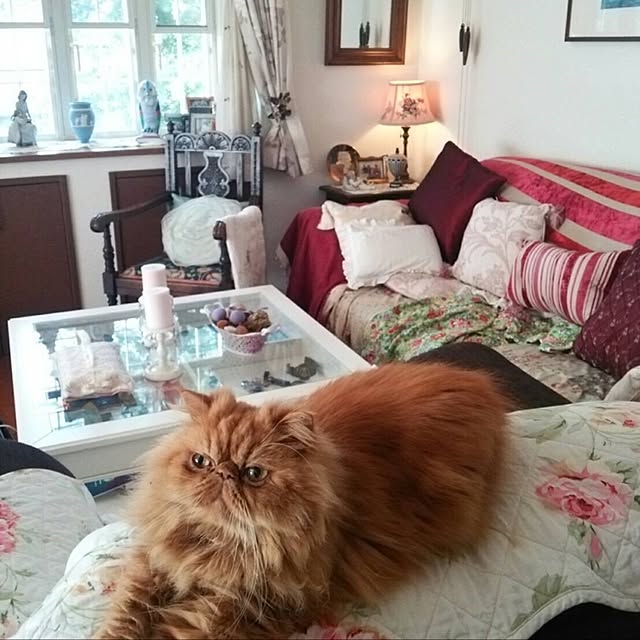 sachiさんの実例写真