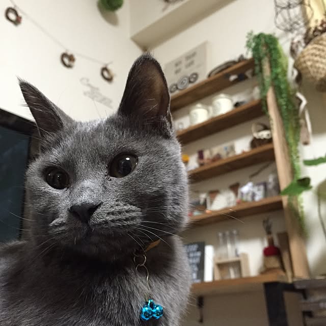 8717さんの実例写真