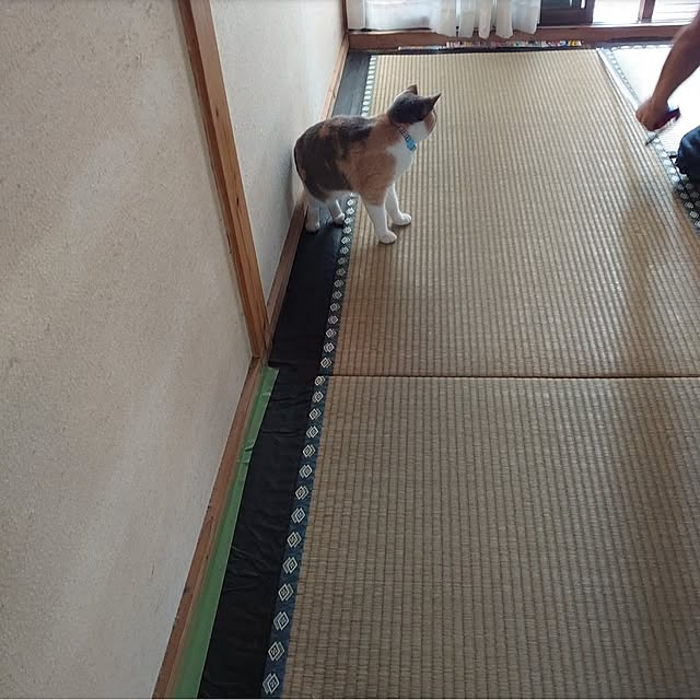 fukuさんの実例写真