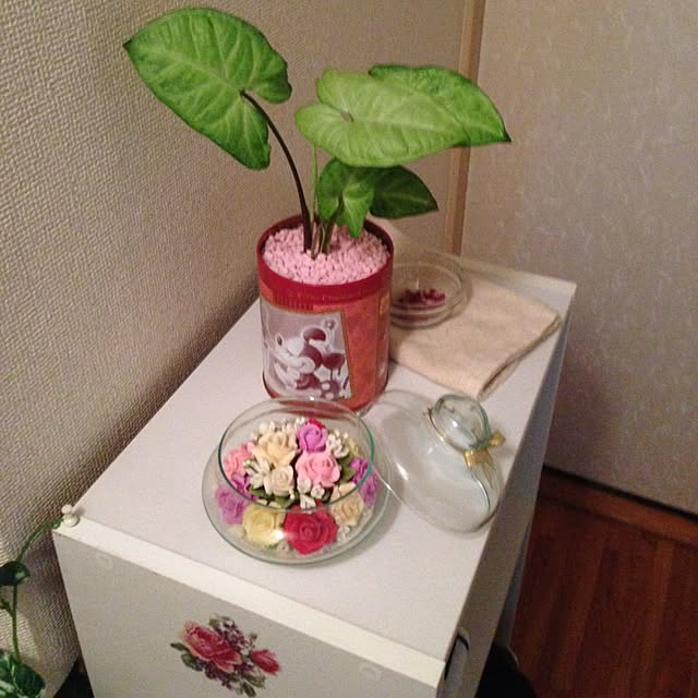 実例写真