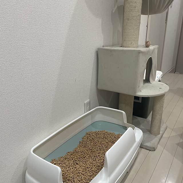 Mikaさんの部屋