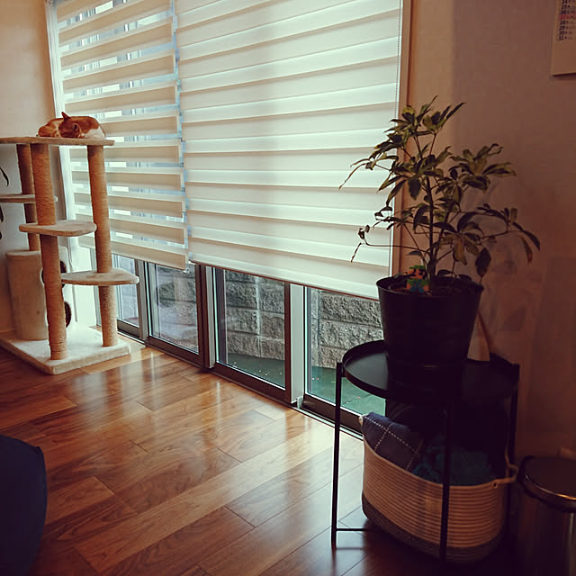 chatoraさんの実例写真