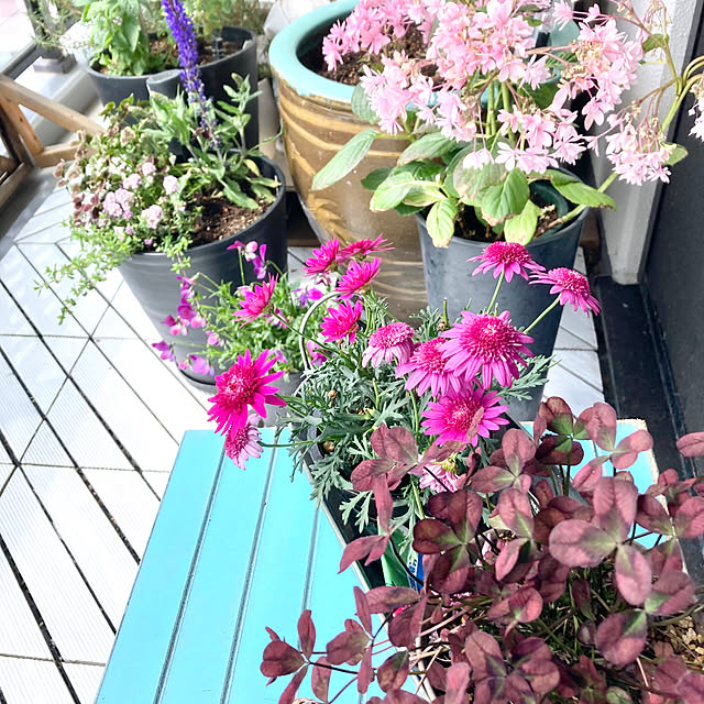 maki_papercraftさんの部屋