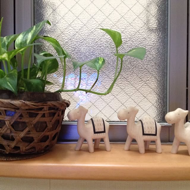 Michiyoさんの実例写真