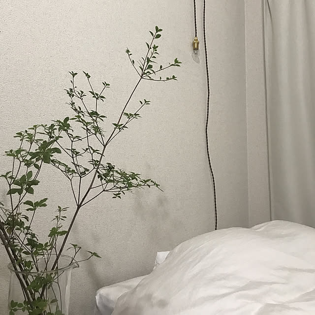 Megumiさんの実例写真