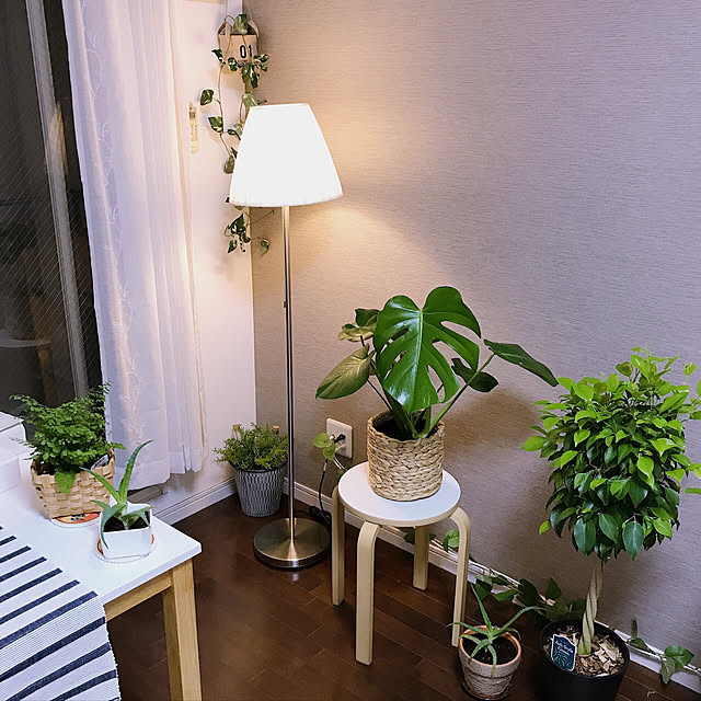 観葉植物/一人暮らし/照明/部屋全体のインテリア実例 - 2020-05-23 19:58:53