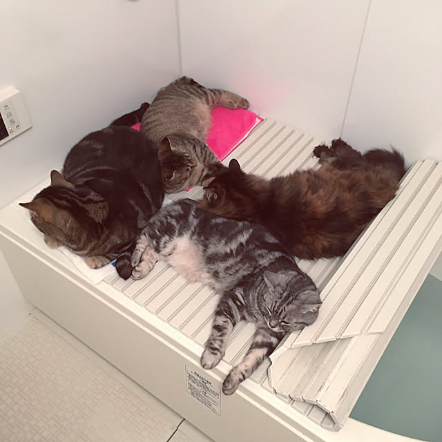 mikomaruさんの実例写真