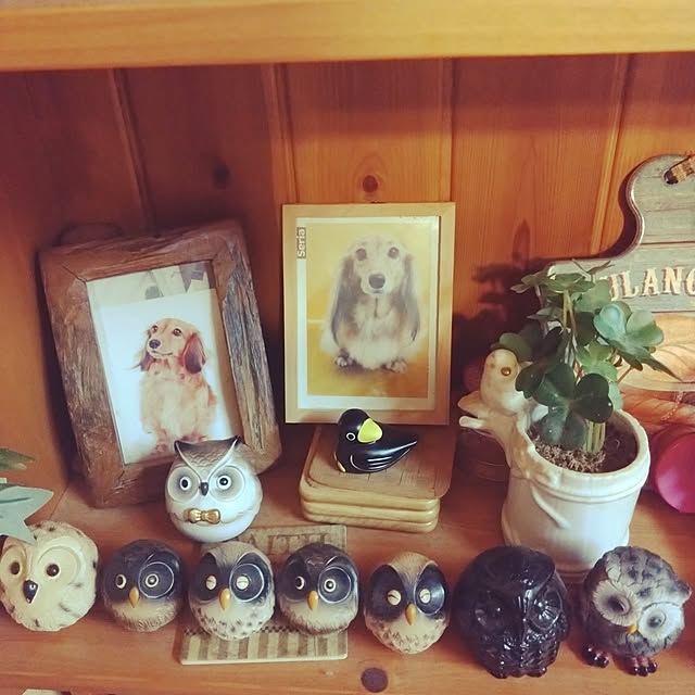 rikachakoさんの実例写真
