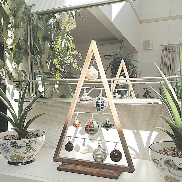 棚/鉢植え/植物のある暮らし/サンスベリア/イッセイミヤケ...などのインテリア実例 - 2022-11-27 13:17:42