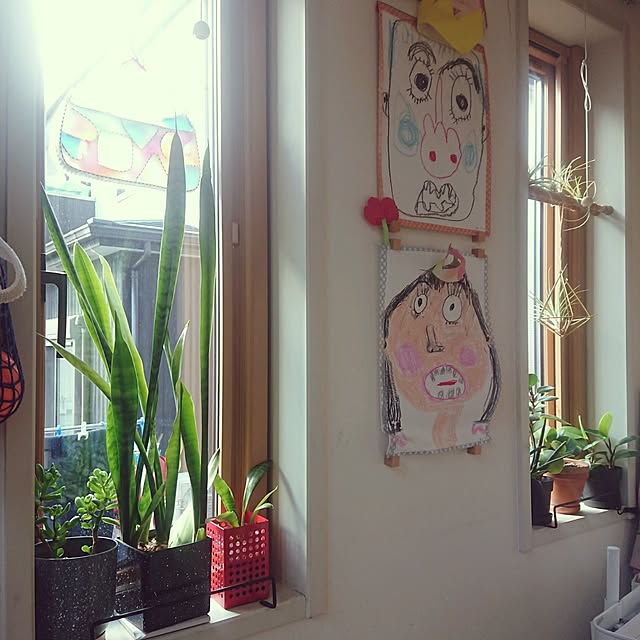 urchinさんの部屋