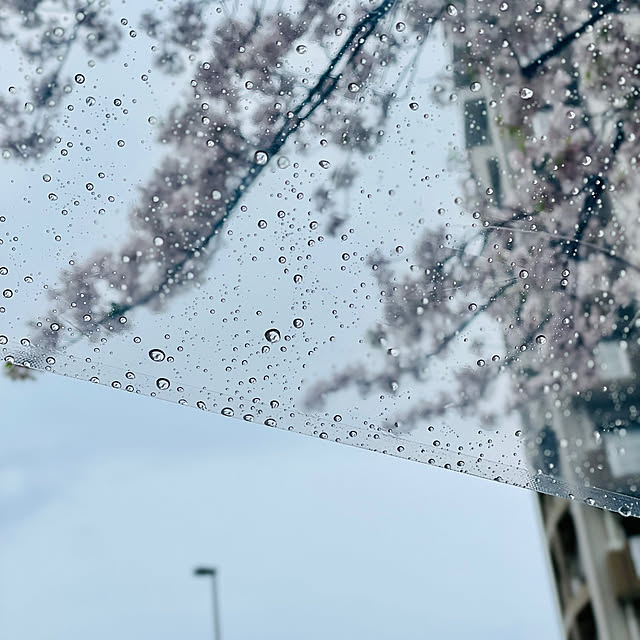 aureaさんの実例写真