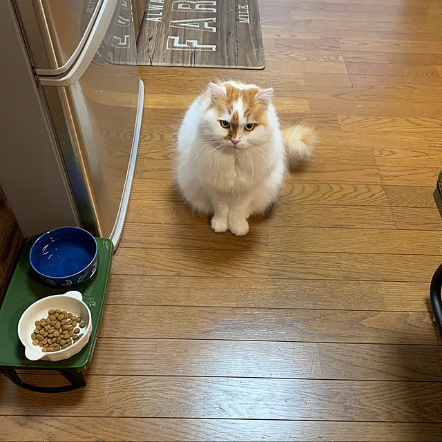 keiさんの実例写真
