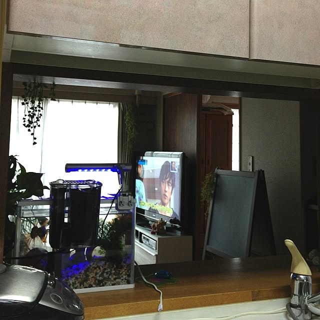 kiyomiさんの実例写真