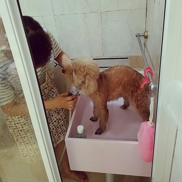 Karkeeさんの実例写真