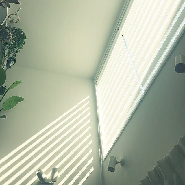 mee.tさんの実例写真
