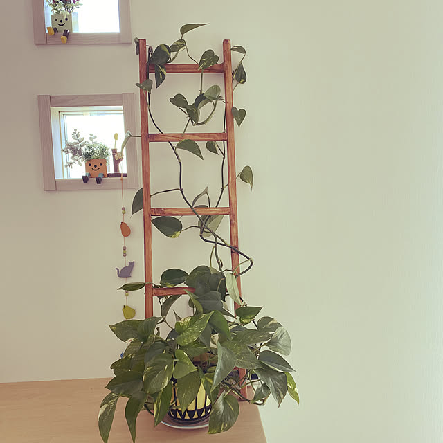 ハンドメイド/観葉植物/棚のインテリア実例 - 2020-04-04 13:26:52