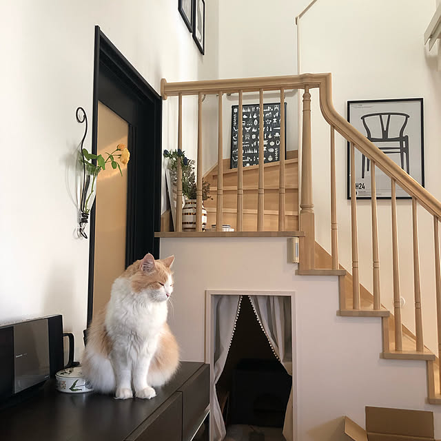 missyさんの実例写真