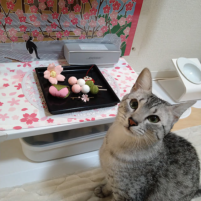 Moeさんの実例写真
