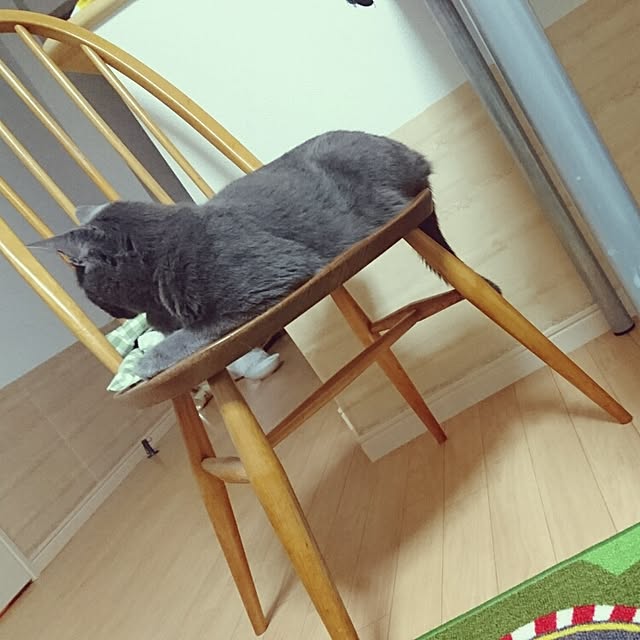 Harukaさんの実例写真