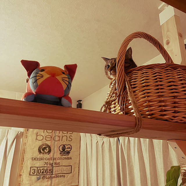 Mさんの部屋