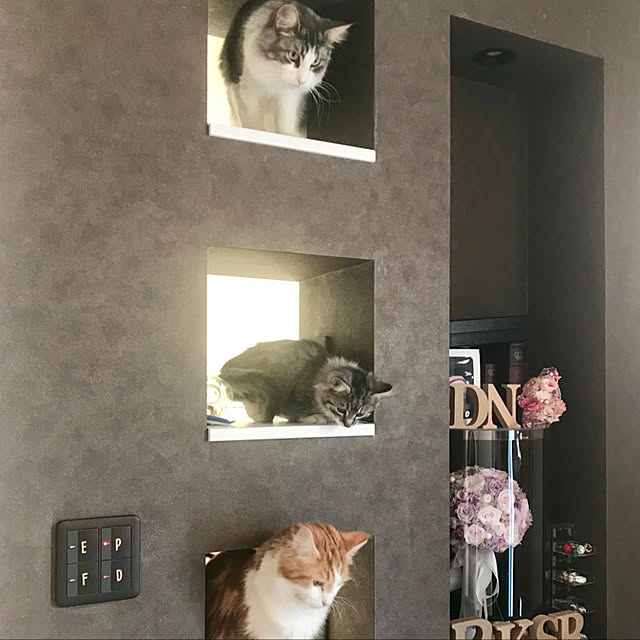 Daisukeさんの実例写真