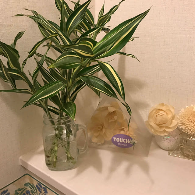 noinoi99さんの実例写真