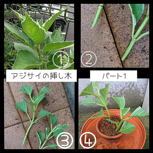 kohmarlさんの実例写真