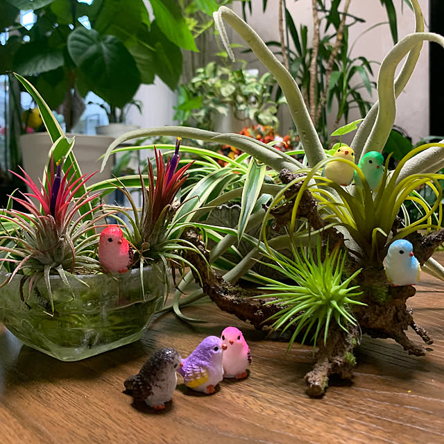 Aqettyさんの実例写真