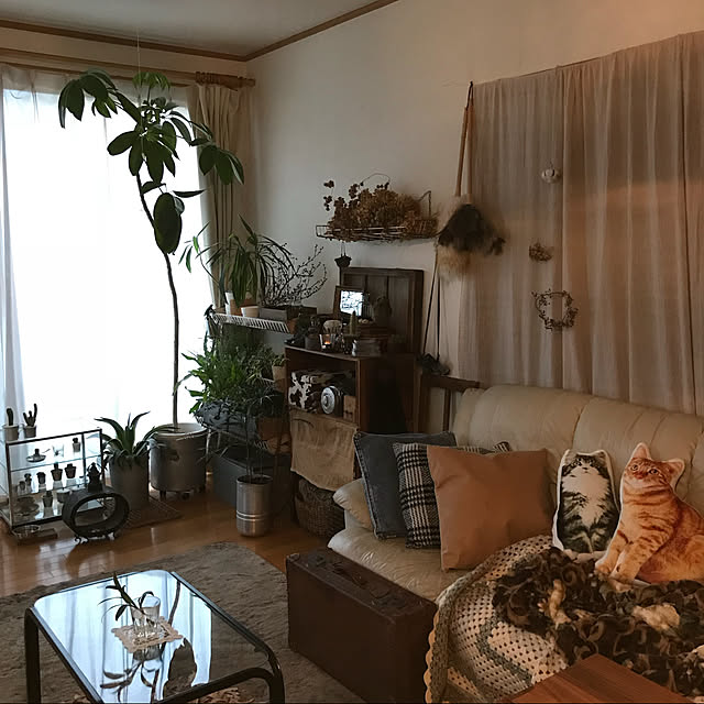 kazuuko0918さんの実例写真