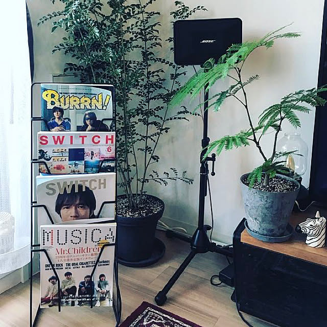 実例写真