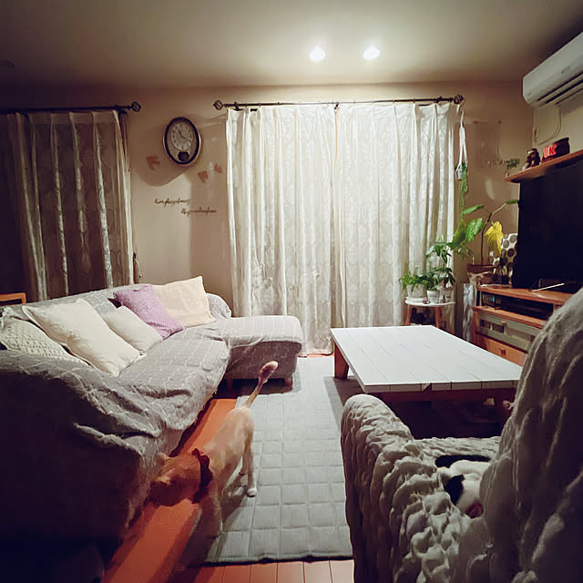 moolさんの部屋