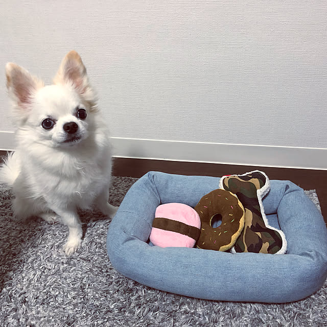 ropperさんの実例写真