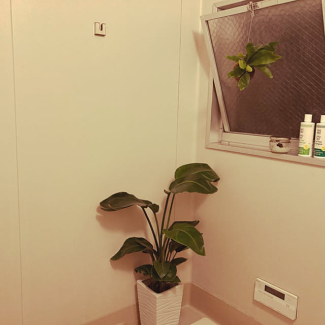 vanillacreame2さんの実例写真
