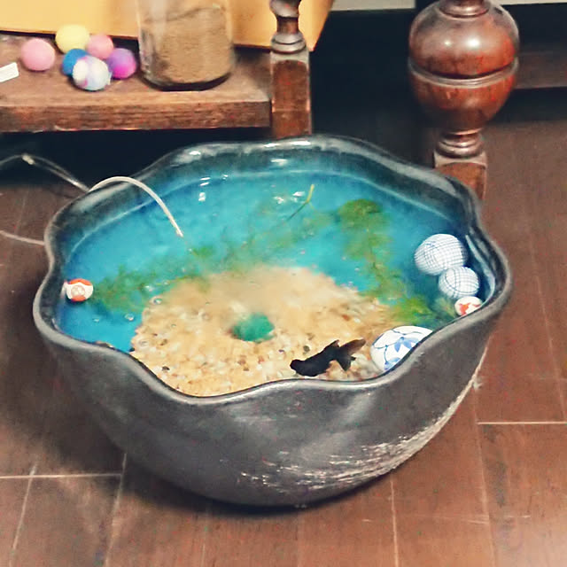 MIUOOさんの実例写真