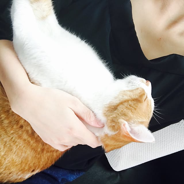 abcさんの実例写真