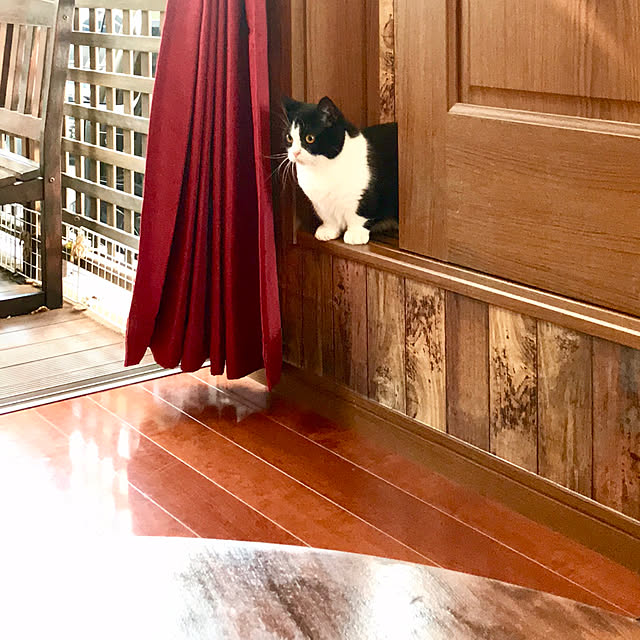 butachanさんの実例写真