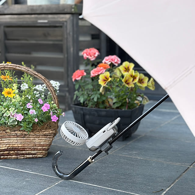 Lime..さんの部屋