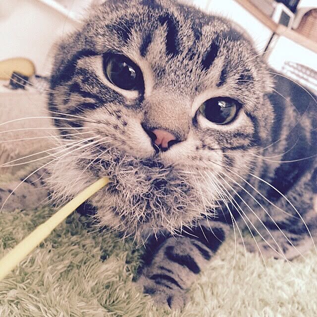 REINA612WORKSさんの実例写真