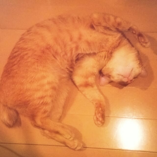 mizutamaさんの実例写真