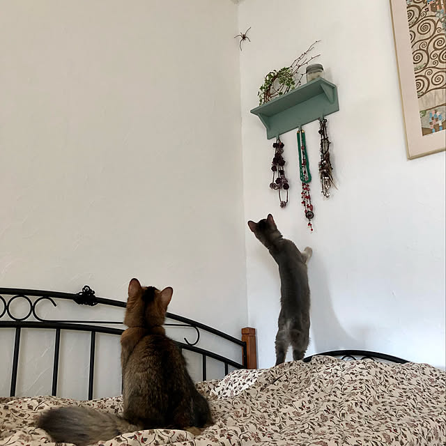paradise_viewさんの実例写真