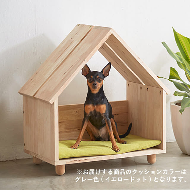 cuicuiさんの実例写真