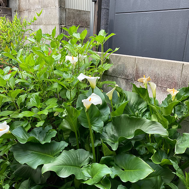 fumikoiさんの部屋