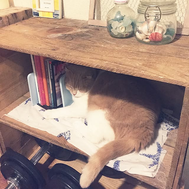 runtenさんの実例写真