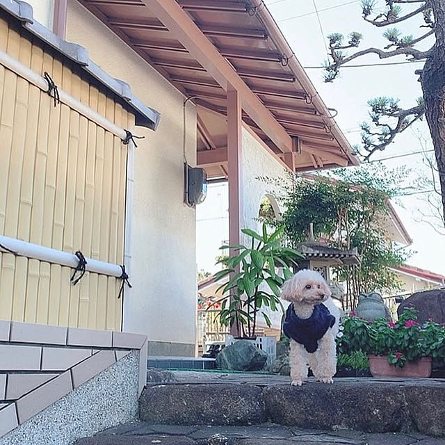 Kasumiさんの実例写真