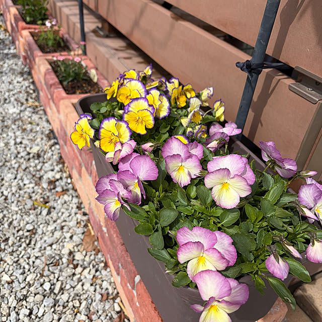 ronronさんの部屋