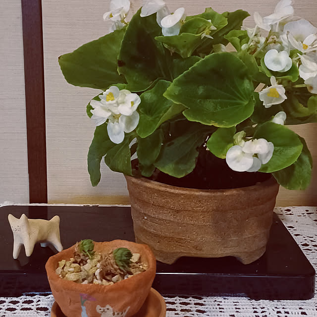 hiro-yさんの実例写真